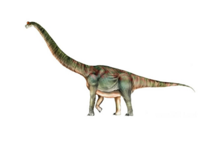 阿達(dá)曼提龍