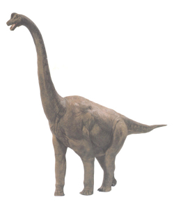 91529822720e0cf34425d9500146f21fbf09aa4f.jpg 91529822720e0cf34425d9500146f21fbf09aa4f.jpg