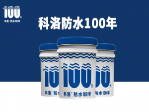 防水混凝土自防水結(jié)構(gòu) 防水混凝土自防水結(jié)構(gòu)