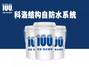 鋼筋砼自防水